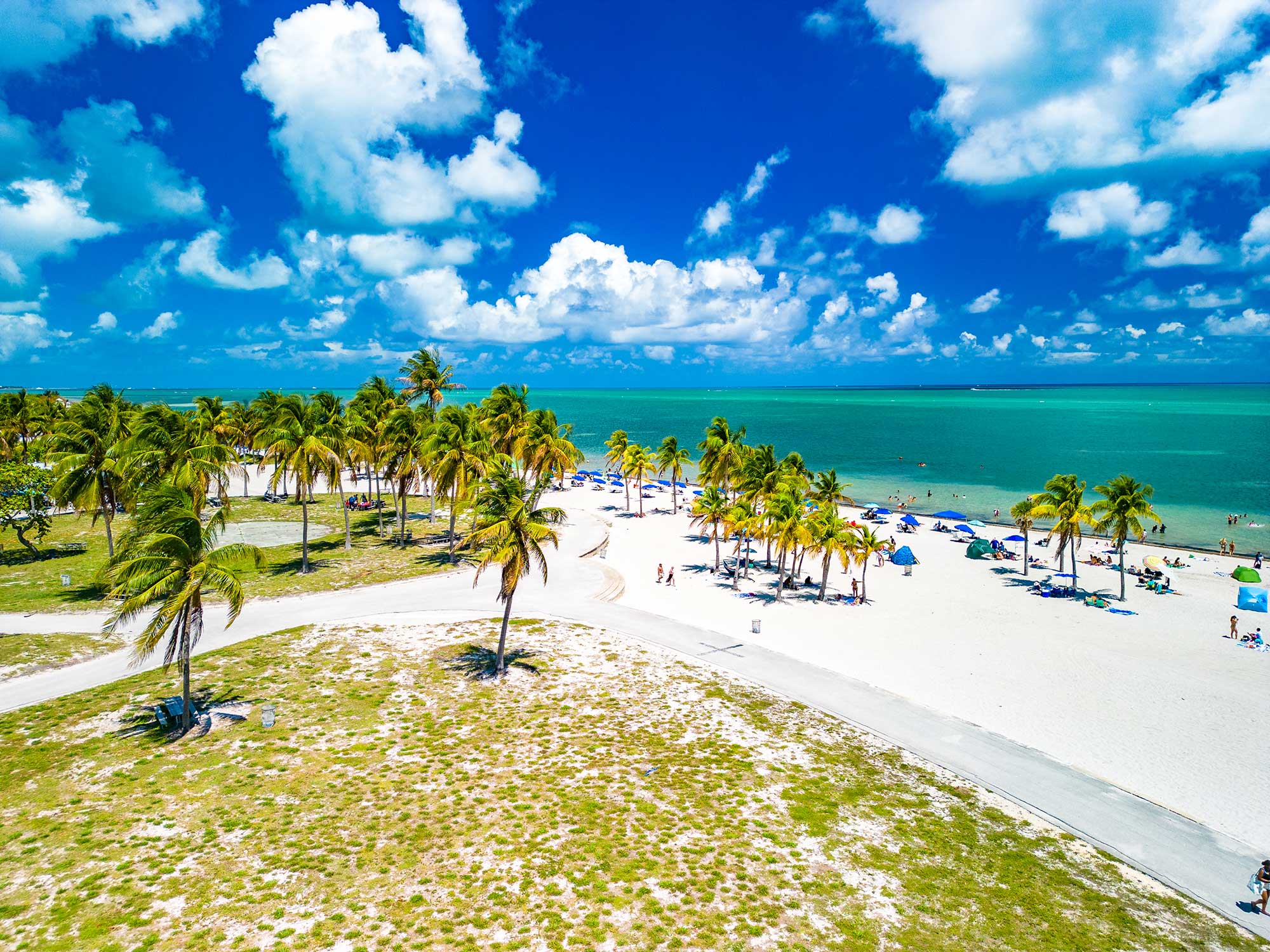 florida beach and palm trees